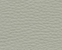 Elfos Gris